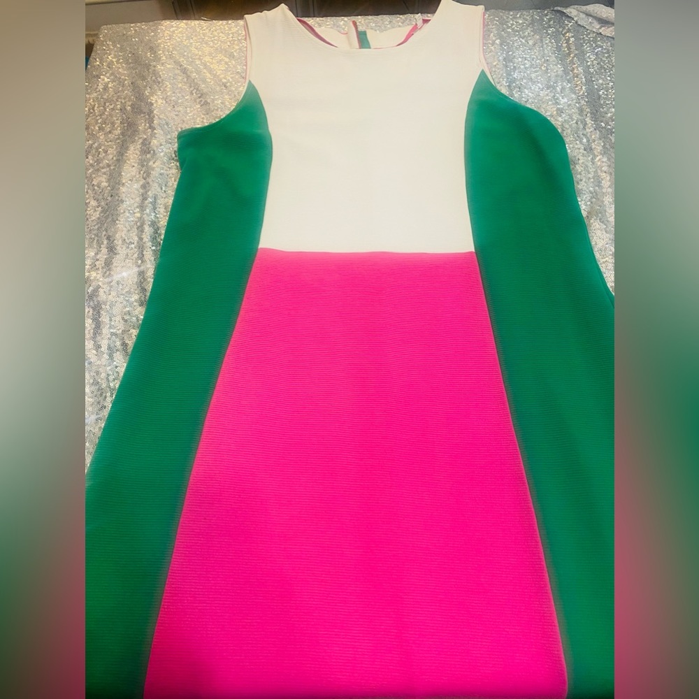 BODEN: Geraldine Ottoman Colorblock Dress Pink and Green SIZE 14L